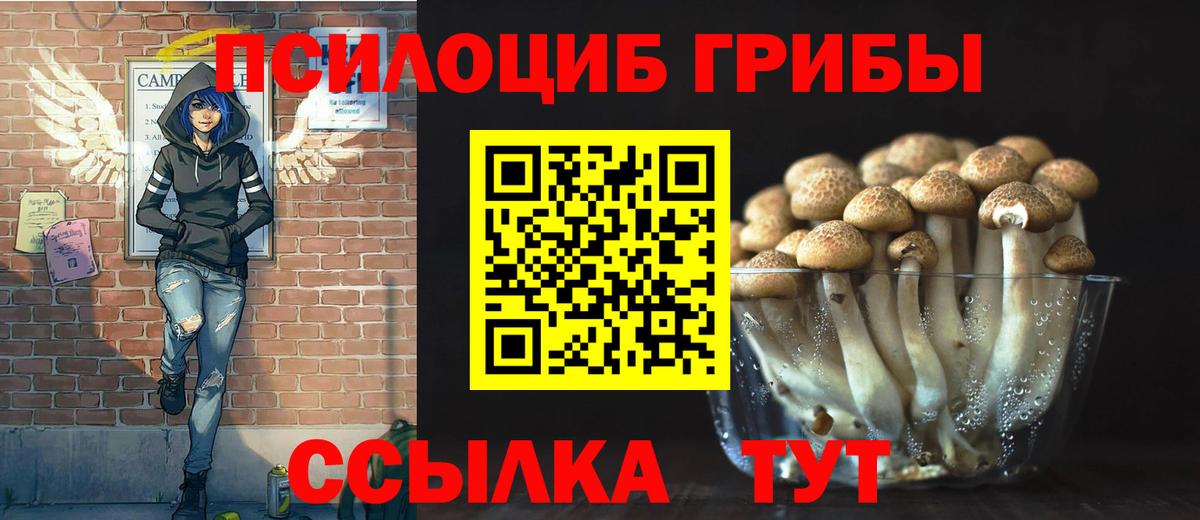 Галлюциногенные грибы MAGIC MUSHROOMS Унеча